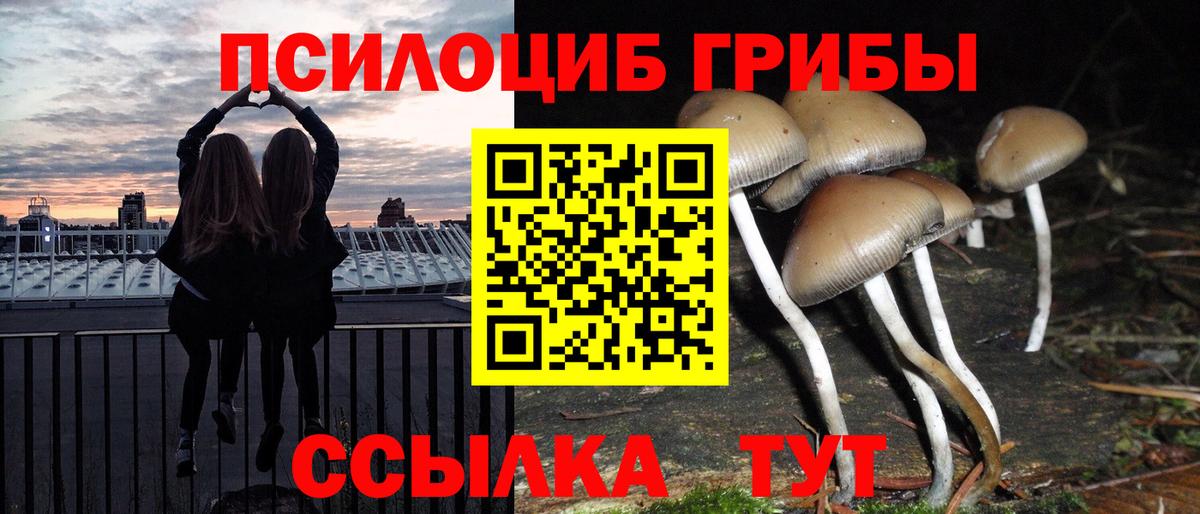 Кашира  Галлюциногенные грибы мицелий  где найти наркотики  Вход с VPN  Галлюциногенные грибы Cubensis 